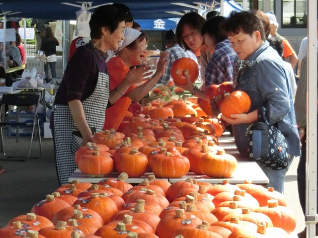 赤かぼちゃ収穫祭